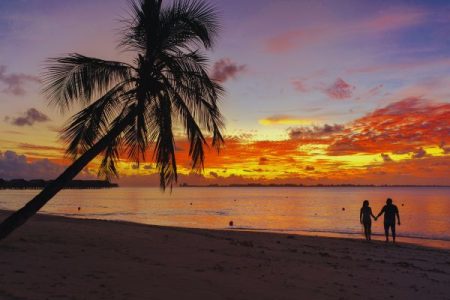 Exotic Andaman with Chidiya Tapu Tour