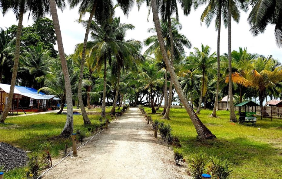 Island and blue beach resort